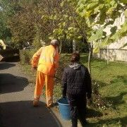 A INCEPUT CURATENIA DE TOAMNA IN MUNICIPIUL ARAD