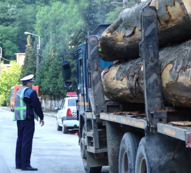 Transport ilegal de lemn depistat pe DN7. Amendă de 12.000 de lei și material confiscat