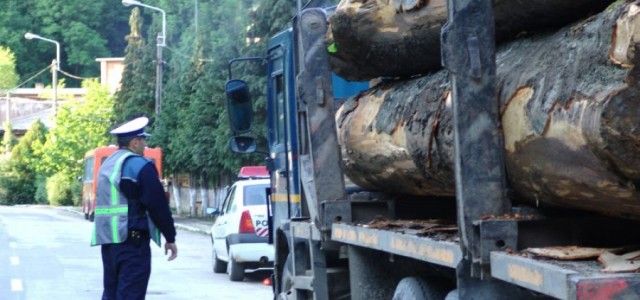 TREI TRANSPORTURI ILEGALE DE MATERIAL LEMNOS DEPISTATE IN TRAFIC DE POLITISTI