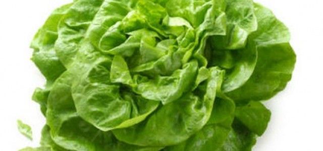 SALATA VERDE ESTE DE 3 ORI MAI NOCIVA DECAT BACONUL, IAR DIETA VEGETARIANA POATE FI DAUNATOARE MEDIULUI