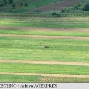 AGROMETEO: STAREA DE VEGETATIE A CULTURILOR DE TOAMNA VA EVALUA NORMAL IN MAJORITATEA REGIUNILOR AGRICOLE