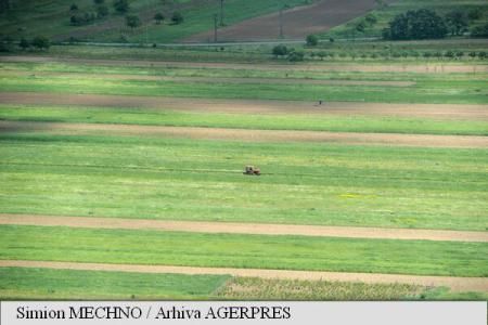 AGROMETEO: STAREA DE VEGETATIE A CULTURILOR DE TOAMNA VA EVALUA NORMAL IN MAJORITATEA REGIUNILOR AGRICOLE