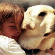 VREI SA SCAPI DE INSOMNIE? IA-TI UN CATEL!