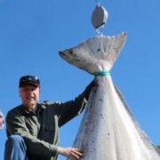 CATE TONE DE MOLUSTE A EXPORTAT ROMANIA!