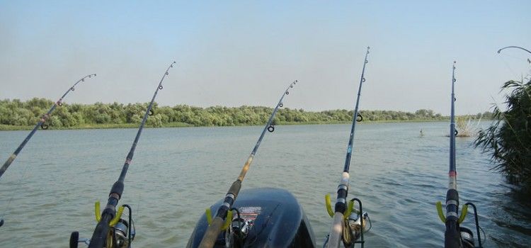Pescuit periculos