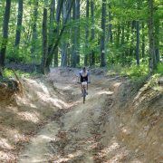 Peste 400 de bicicliști vor participa la ”Arad Bike Race”