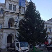 Primăria Arad va aprinde bradul de Crăciun