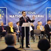 Curtea de Arbitraj din PNL va decide legalitatea alegerii lui Gheorghe Falcă