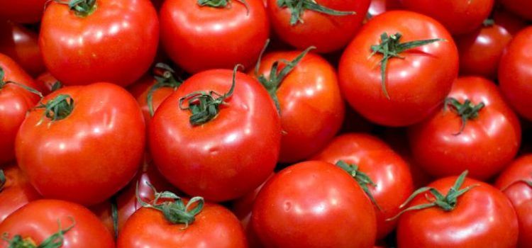 Prelungirea termenului privind sprijinul financiar pentru producătorii de tomate