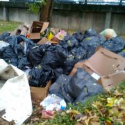 USR: Arădenii sesizează mizeria din parcul Eminescu la  Biroul Cetățeanului