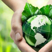 5 tipuri de produse naturiste si bio care nu trebuie sa iti lipseasca din casa