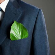 3 moduri avantajoase prin care iti poti transforma business-ul in unul eco-friendly in 2019