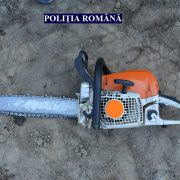 Pădurar din Lipova, amenințat cu un motofierăstrău de un hoț de lemne