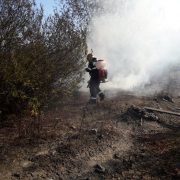 Peste 50 de incendii de vegetație uscată, stinse de pompierii arădeni în ultimele două luni