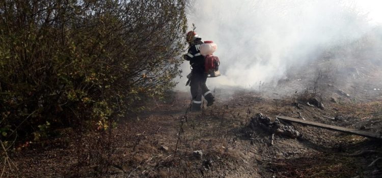Peste 50 de incendii de vegetație uscată, stinse de pompierii arădeni în ultimele două luni