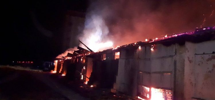 Incendiu puternic în Sântana. Un depozit cu 2000 de tone de cereale s-a făcut scrum