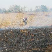 Incendiu de proporții la un lan de grâu, între Arad și Pecica, pe aproximativ 20 de hectare