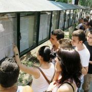 Bacalaureat 2025: Județul Arad înregistrează o rată de promovare de 74,7%