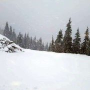 Ninsori și temperaturi sub zero grade în mai multe zone din țară