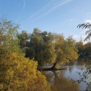 Prognoza meteo până în 14 noiembrie