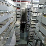 ONRC: 381.152 PFA/II/IF erau înregistrate în România la finele lunii martie