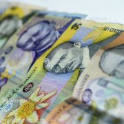 Plata ajutorului de stat în sectorul creşterii animalelor efectuată începând din 18 mai (APIA)