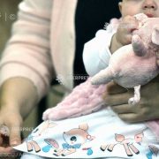 INS: Spor natural negativ al populaţiei României, în februarie şi martie 2020