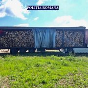 Lemne fără documente legale