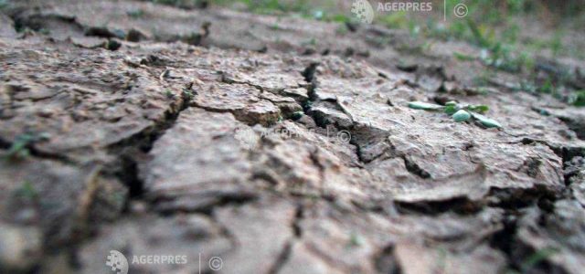 Cea mai gravă secetă din ultimul secol afectează Europa de Est