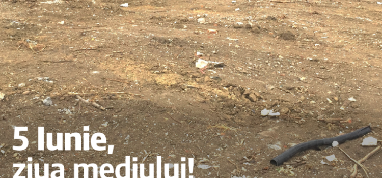 USR Arad inventariază locurile unde sunt aruncate gunoaie