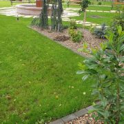 Iustin Cionca: „Sunt foarte dezamăgit, hoții au călcat Parcul Bujor Buda”!