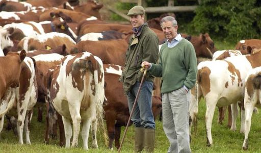Prințul Charles își vinde ferma organică: încă un pas către tron?