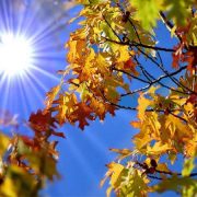 Vreme neobișnuită de toamnă în România până la începutul lunii decembrie