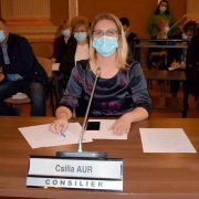 Csilla Aur : Aradul cultural avea nevoie de bani și i-a primit !