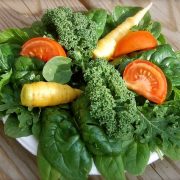 Ce alimente sa consumam pentru a ne proteja coloana?