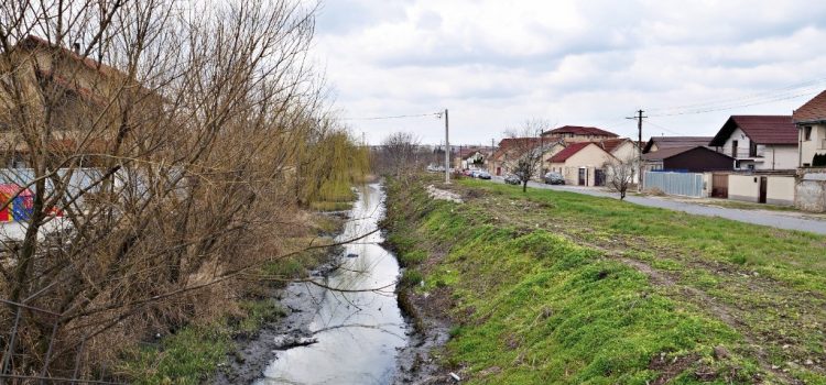 Sergiu Bîlcea: Canalul Mureșel, inclus în Programul Național de Reziliență pentru decolmatarea zonelor intubate