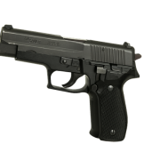 Deținea acasă un pistol fără autorizație