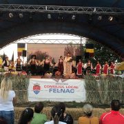 Vești bune: Zilele comunei Felnac vor fi organizate în 14 și 15 august!