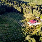 La graniță cu Aradul, un primar și un afacerist și-au ”tras” conace în arii protejate