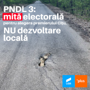 USR Arad: Cumpăratul de voturi pentru competiția internă a PNL nu înseamnă dezvoltare locală