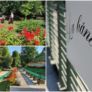 O nouă seară muzicală „La Băncuțe”