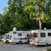 Turiștii străini vizitează Parcul Natural Lunca Mureșului, în număr tot mai mare