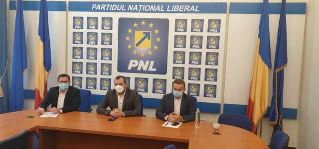 Primarul Mărginean și Mircea Onea fac echipă pentru PNL Nădlac