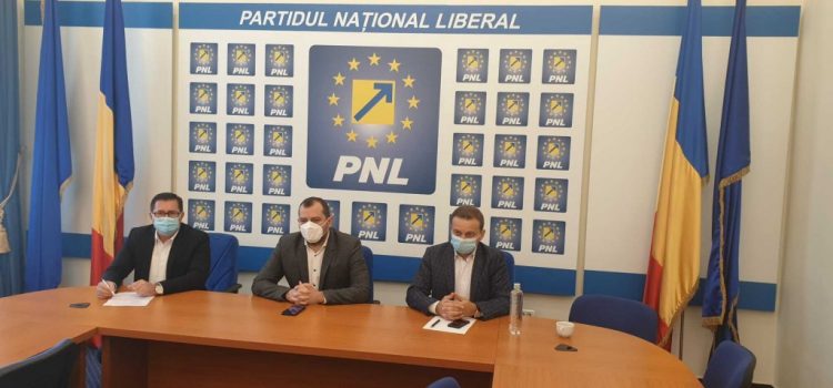 Primarul Mărginean și Mircea Onea fac echipă pentru PNL Nădlac