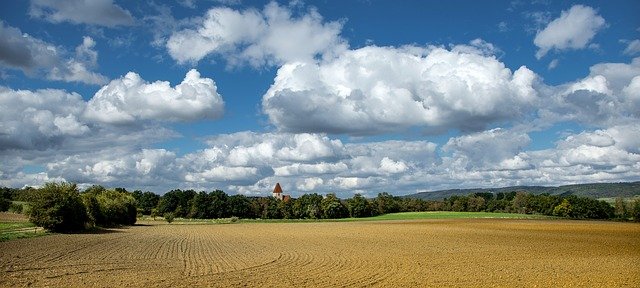 APIA demarează plata în avans pentru fermierii care au depus Cereri unice de plată în anul 2021