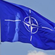 Grupul de luptă al NATO în România, la capabilitatea iniţială