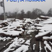 Acțiune a polițiștilor Biroului de Combatere a Delictelor Silvice
