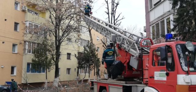 Activități de toaletare a arborilor amplasați pe Strada Andrei Mureșanu