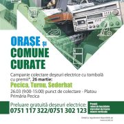 Campanie cu premii la Pecica: sămbătă se adună deșeurile electrice