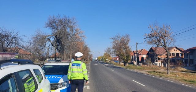 Acțiunea poliției rutiere din Sebiș lasă șoferi fără permis de conducere